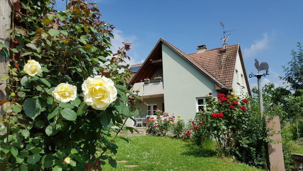 Le Gm Chambres D'Hotes De Charme En Alsace Mittelwihr Buitenkant foto